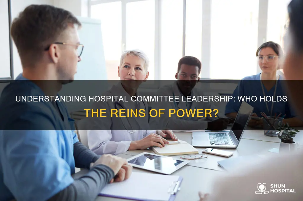 who is in charge of hospital committees