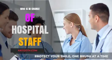 Understanding Hospital Staff Leadership: Who Oversees Healthcare Teams?