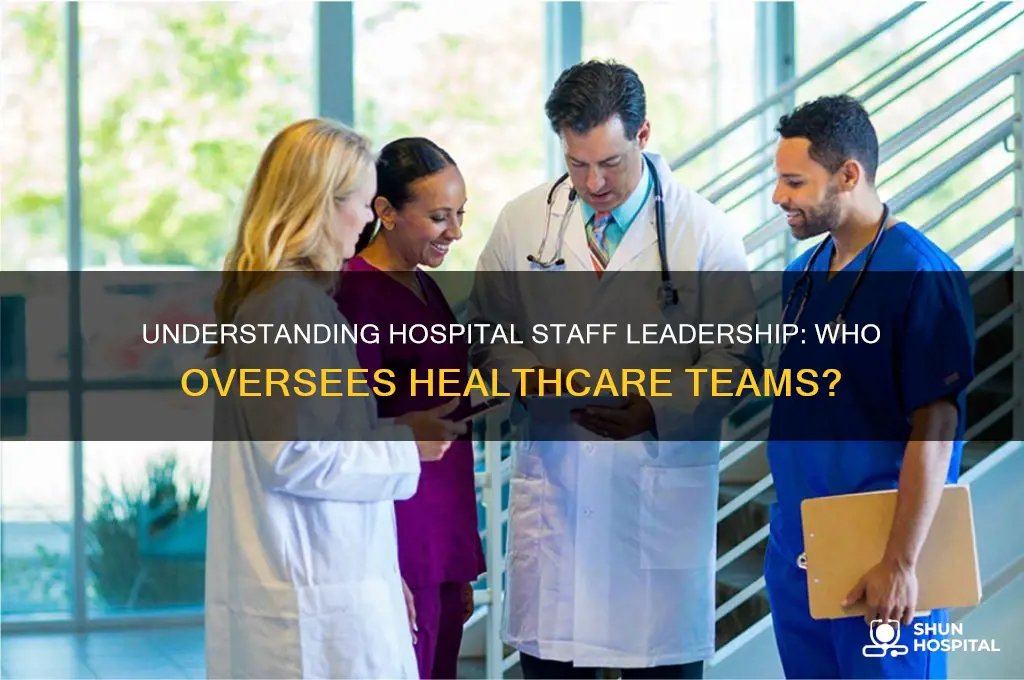 who is in charge of hospital staff