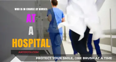 Understanding Hospital Nurse Leadership: Who Oversees Nursing Staff and Operations?