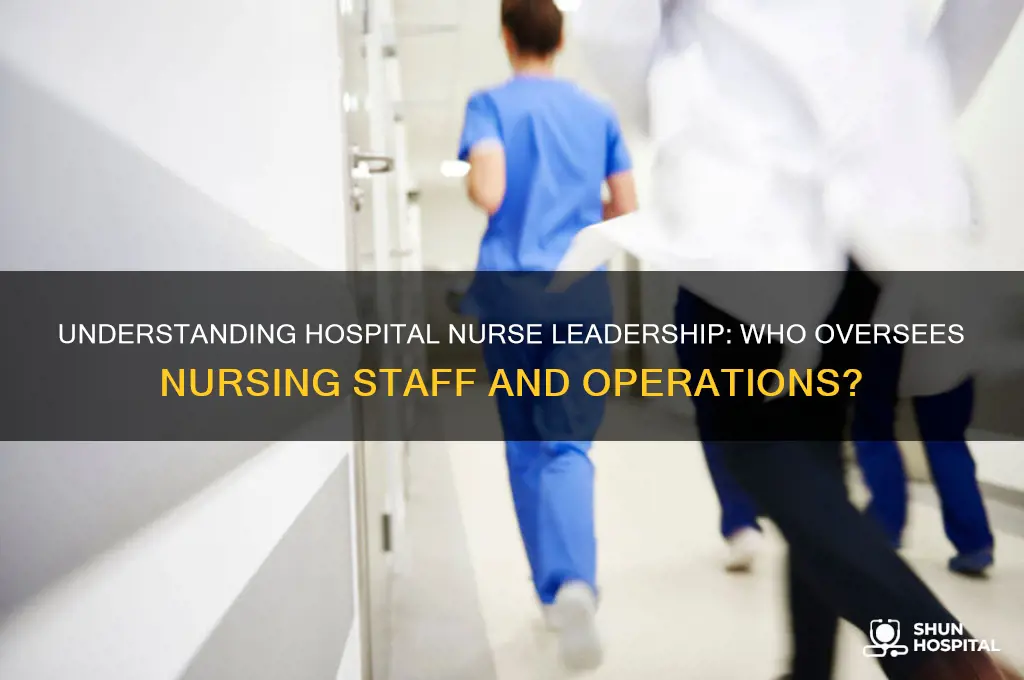 who is in charge of nurses at a hospital