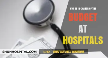 Who Controls Hospital Budgets? Key Roles and Responsibilities Explained