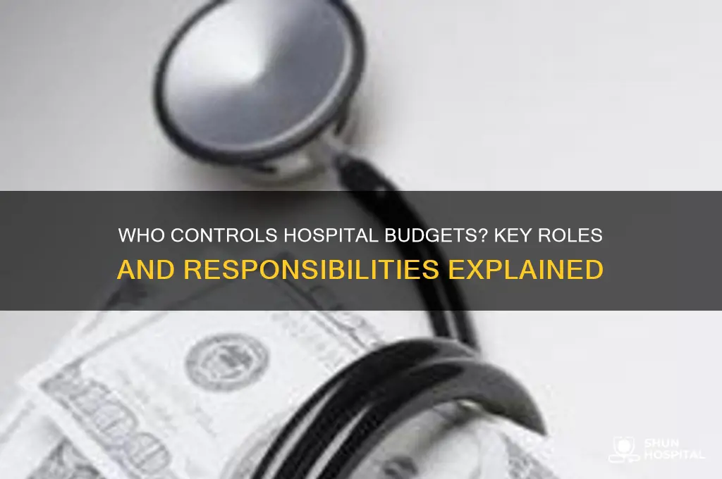 who is in charge of the budget at hospitals
