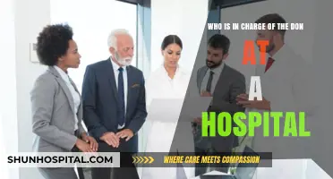 Who Oversees the DON? Understanding Hospital Leadership Roles and Responsibilities