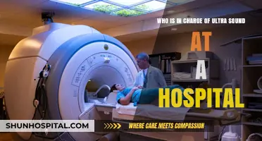 Who Oversees Ultrasound Services in Hospitals: Key Roles and Responsibilities
