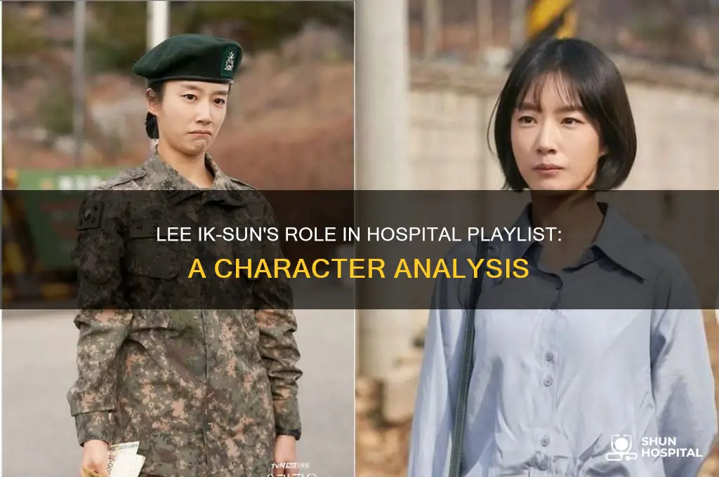who is lee ik sun hospital playlist
