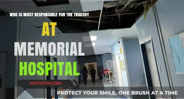 Memorial Hospital Tragedy: Unraveling Accountability for the Devastating Loss
