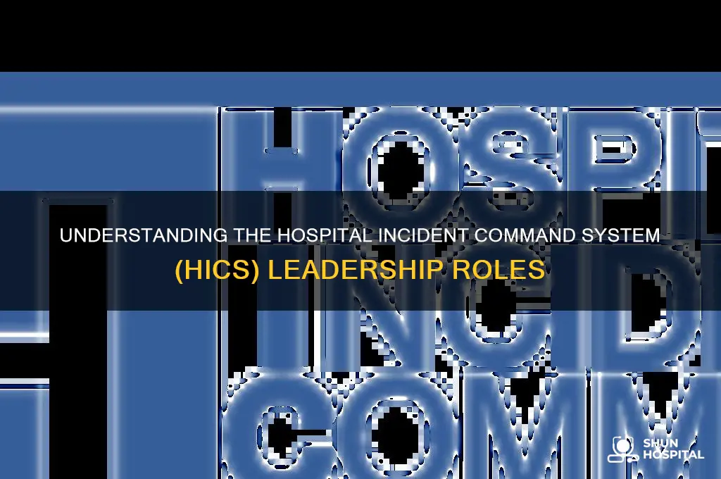 who is on the hospital incident command system hics
