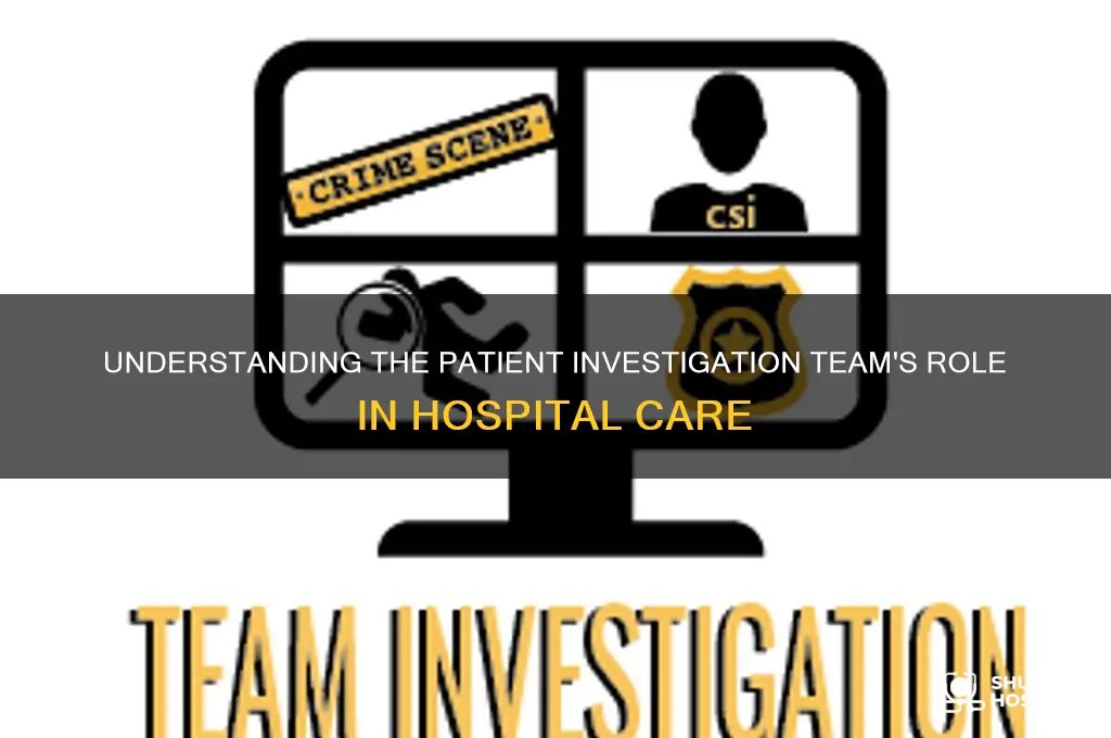 who is on the pi team in a hospital