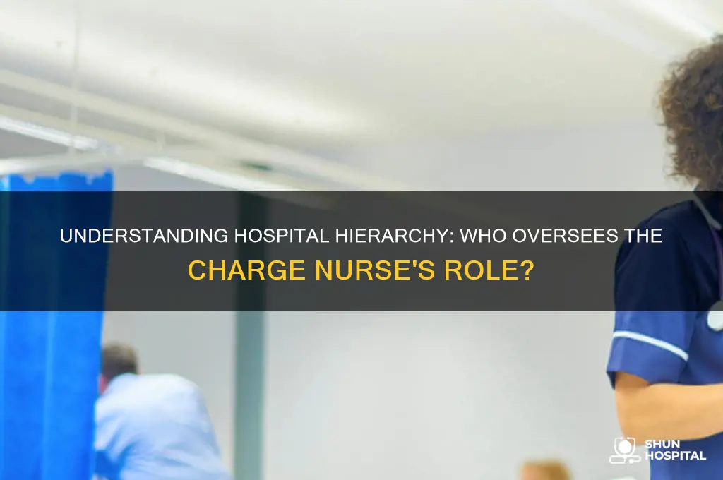 who is over the charge nurse in a hospital
