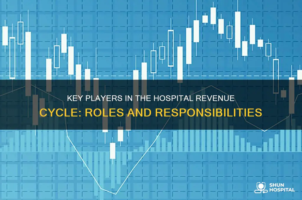 who is part of the revenue cycle in hospitals