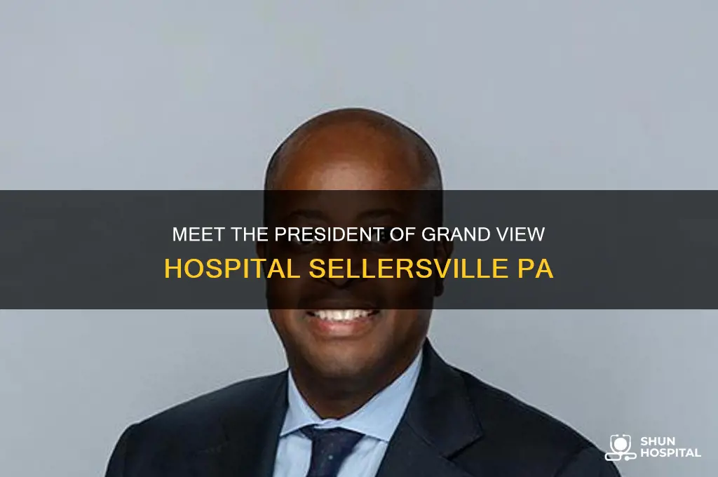 who is president of grand view hospital sellersville pa