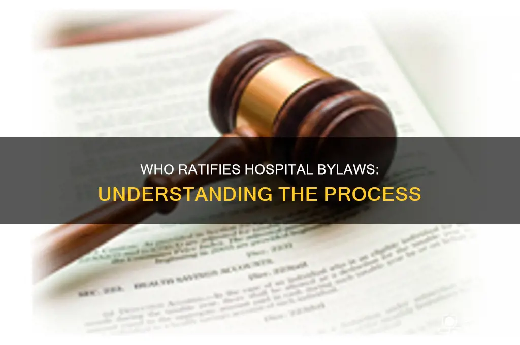 who is reponsible for ratifying hospital bylaws