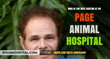 Meet the Top Doctor at Du Page Animal Hospital: Expert Care