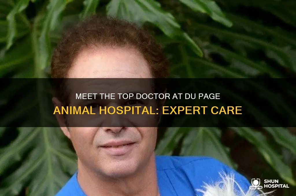 who is the best doctor at du page animal hospital