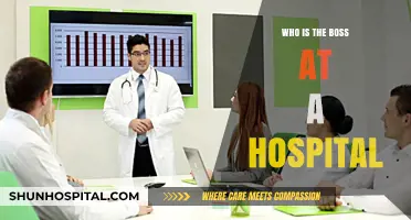 Hospital Hierarchy: Who's Really in Charge?