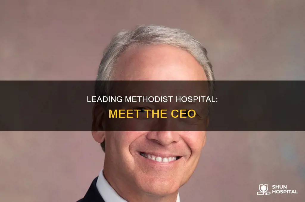 who is the ceo of methodist hospital
