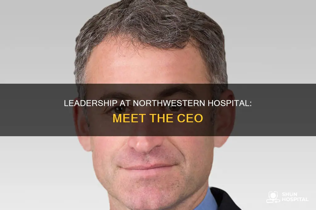 who is the ceo of northwestern hospital