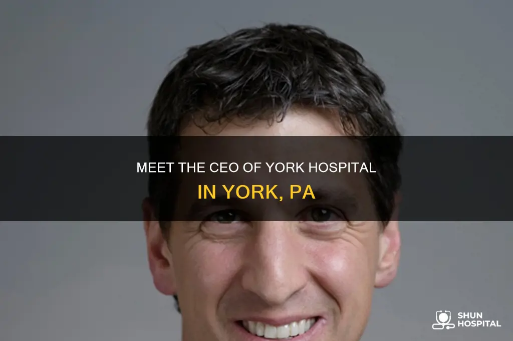 who is the ceo of york hospital in york pa