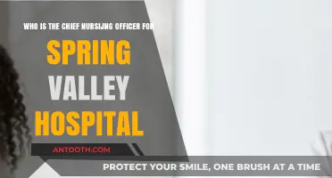 Meet Spring Valley Hospital's Chief Nursing Officer: Leadership and Expertise