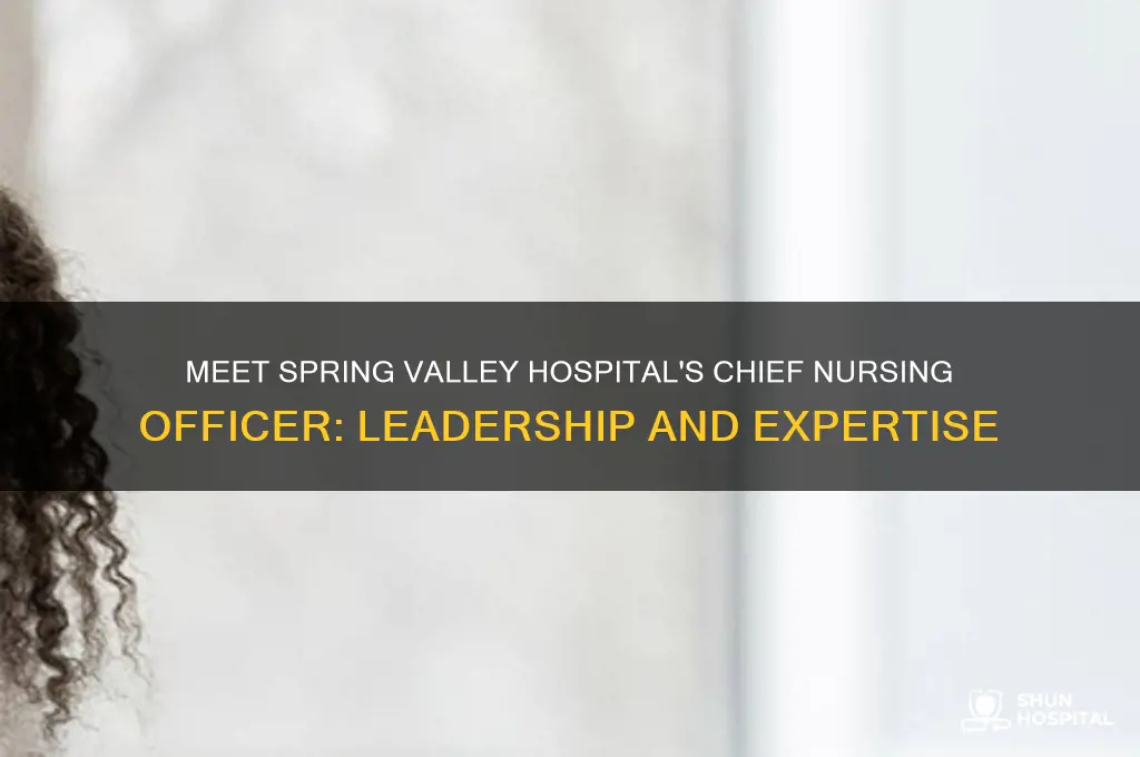 who is the chief nursijng officer for spring valley hospital
