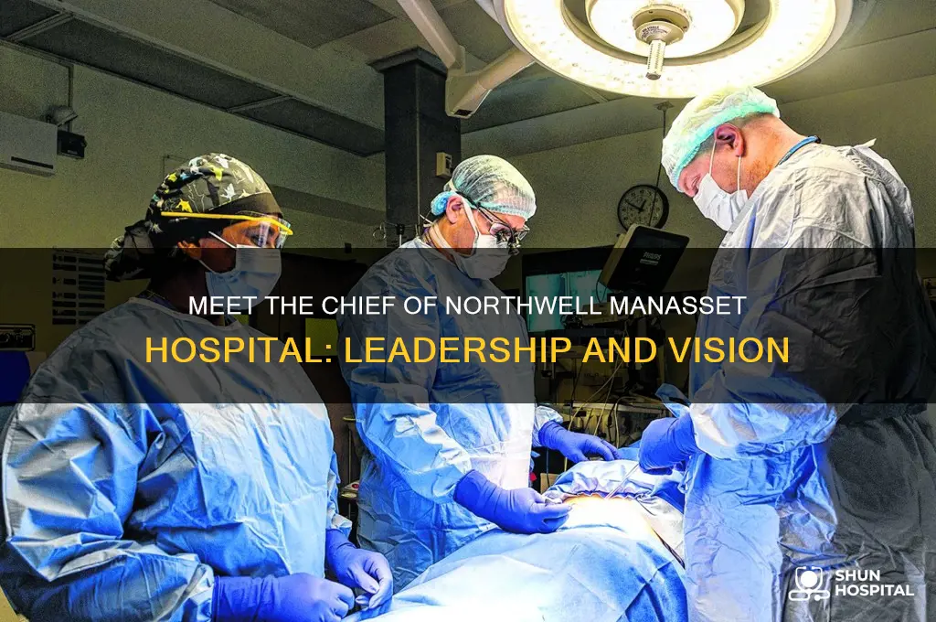who is the chief of north well manasset hospital