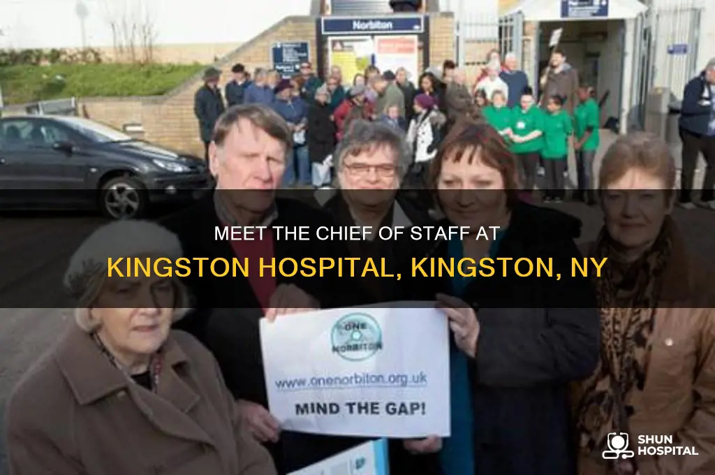 who is the chief of staff kingston hospital kingston ny