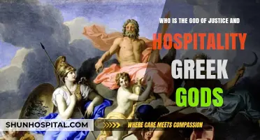 The Greek God of Justice and Hospitality: Unveiling Themis and Zeus