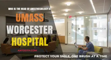 UMass Worcester Hospital's Anesthesiology Department: Meet the Leading Expert