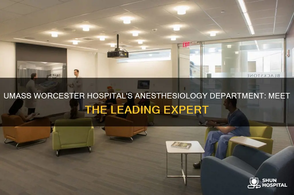 who is the head of anesthesiology at umass worcester hospital