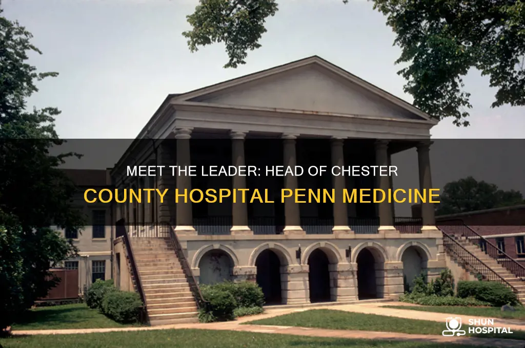 who is the head of ccounty hospital penn medicine