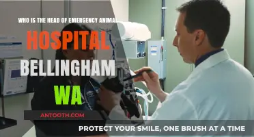 Meet the Leader of Bellingham WA's Emergency Animal Hospital