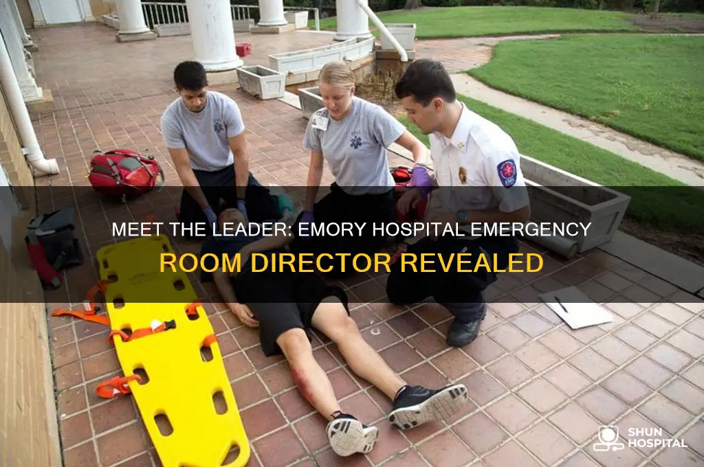 who is the head of emory hospital emergency room