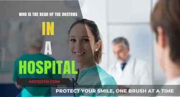 Understanding Hospital Leadership: Who Heads the Medical Team?