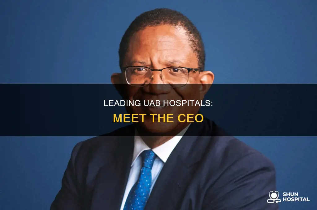who is the head of uab hospitals