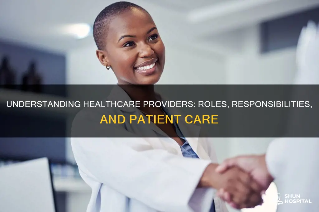 who is the healthcare provider
