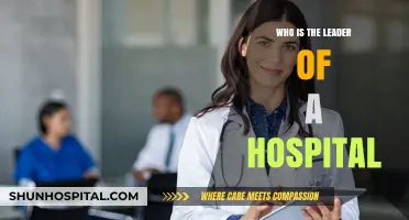 The Hospital's Leader: Who's in Charge?