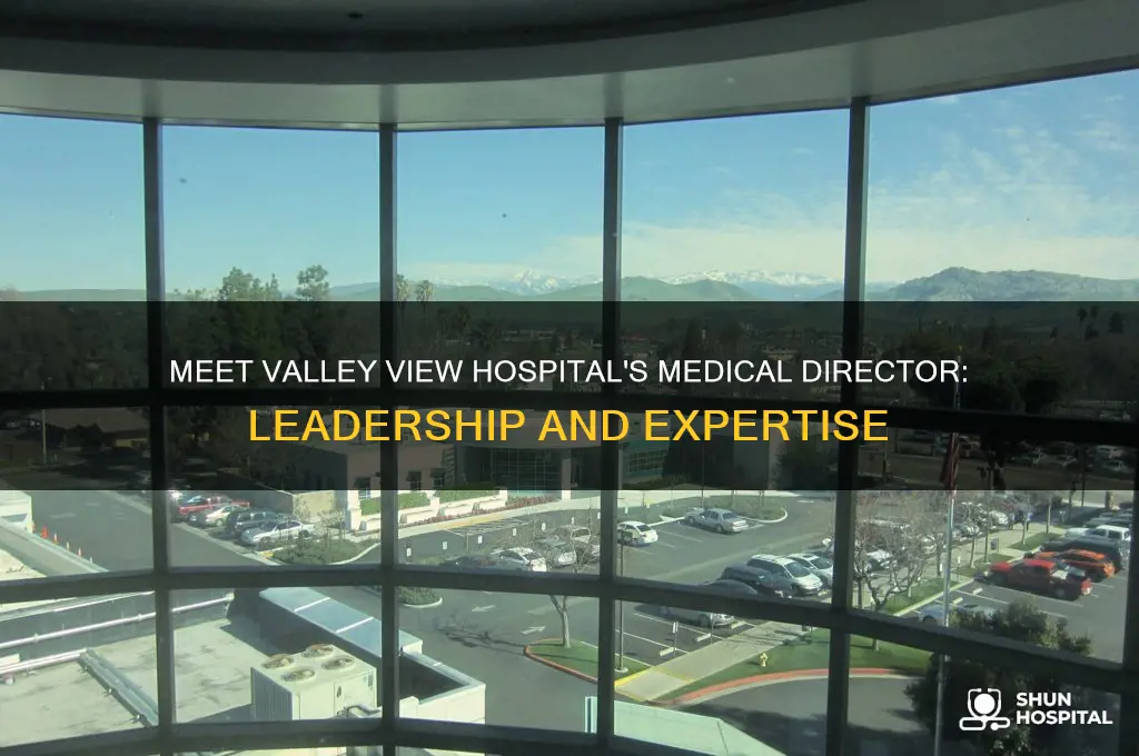who is the medical director at valley view hospital