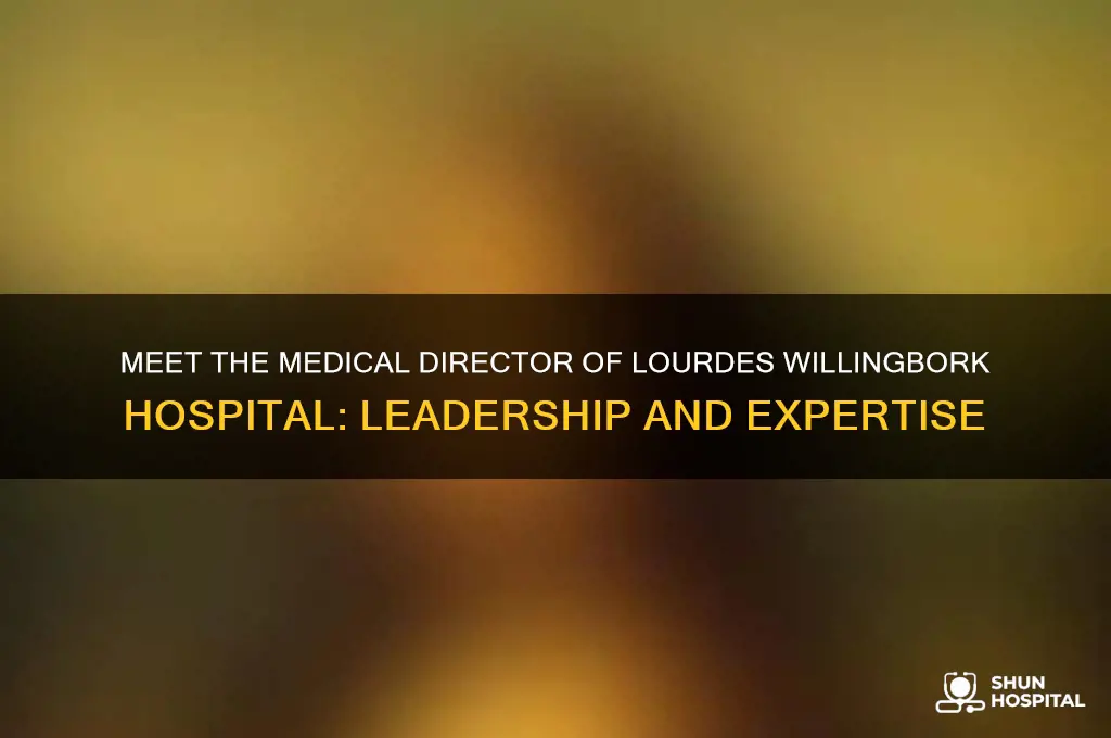 who is the medical direvtor of lourdes willingbork hospital