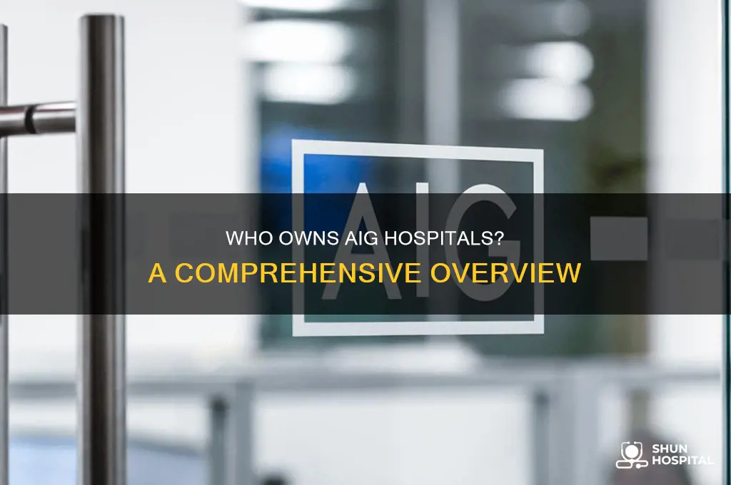 who is the owner of aig hospital