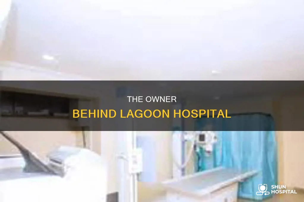who is the owner of lagoon hospital