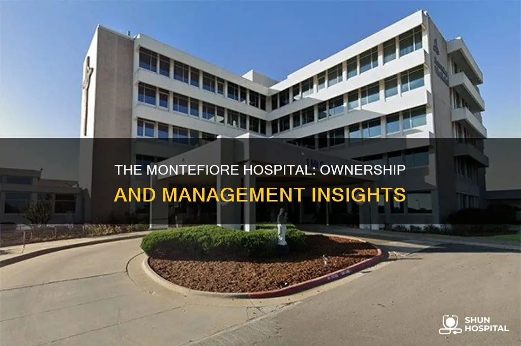 who is the owner of montefiore hospital
