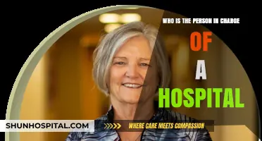 Understanding Hospital Leadership: Who Holds the Top Position?