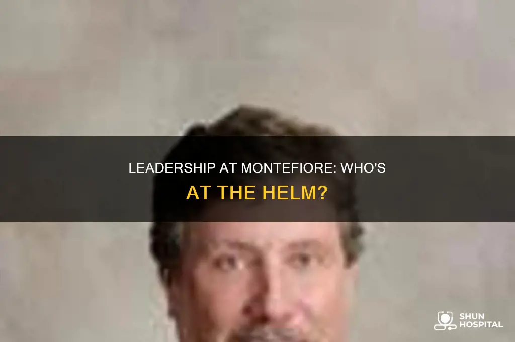 who is the president of montefiore hospital