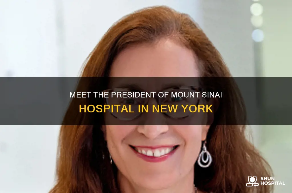 who is the president of mount sinai hospital in ny