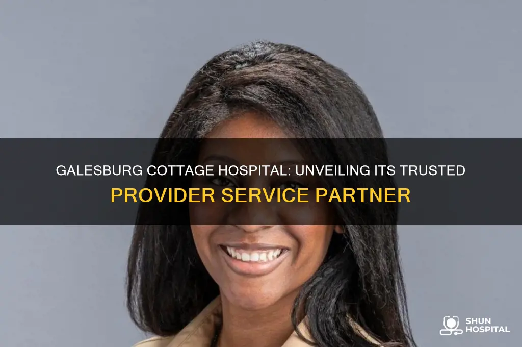 who is the provider service for galseburg cottage hospital