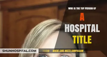 Understanding the Role of a Hospital's Chief Executive Officer (CEO)