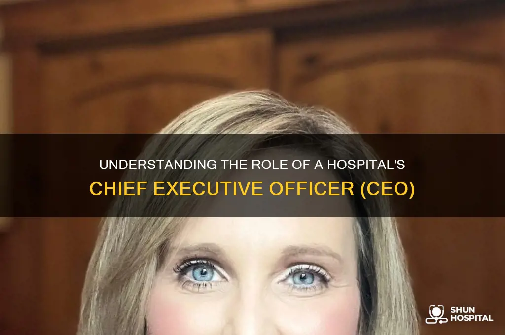 who is the top person of a hospital title
