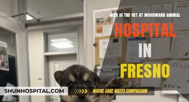 Meet the Dedicated Veterinarian at Woodward Animal Hospital in Fresno