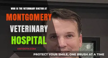 Meet the Dedicated Veterinary Doctor at Montgomery Veterinary Hospital